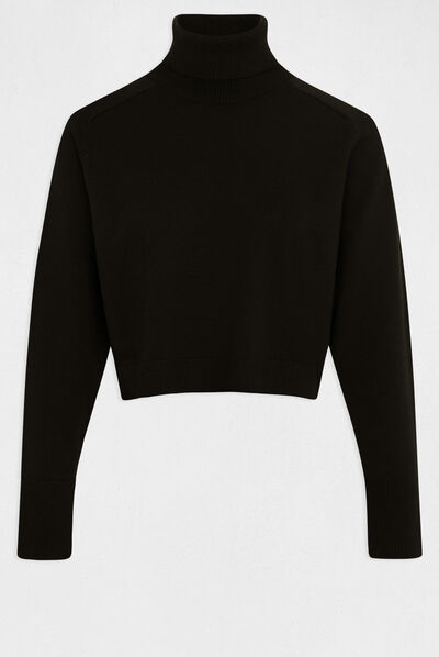 Pull manches longues à col roulé noir femme