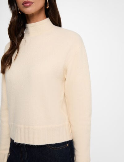 Pull col montant beige femme