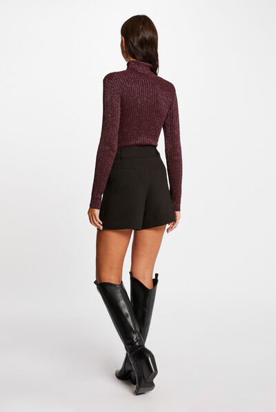 Pull manches longues col roulé prune femme