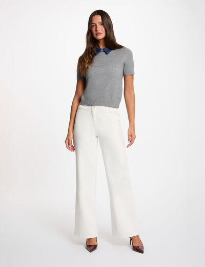 Pull col &agrave; revers gris clair femme