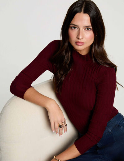 Pull col montant bordeaux femme