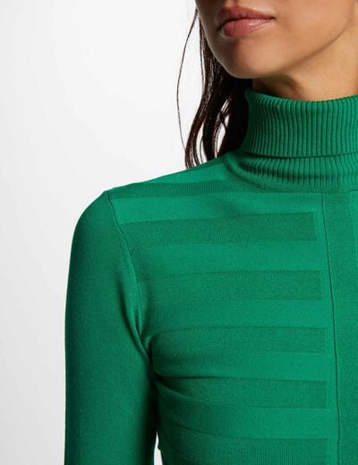 Pull col roul&eacute; ajust&eacute; vert clair femme