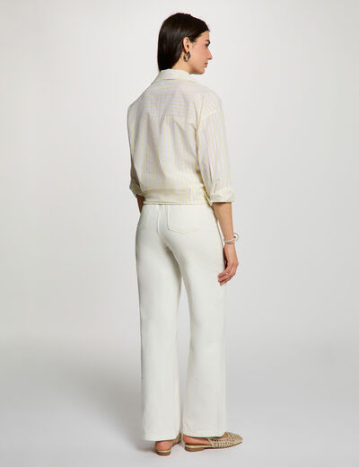Chemise ray&eacute;e col &agrave; revers jaune clair femme