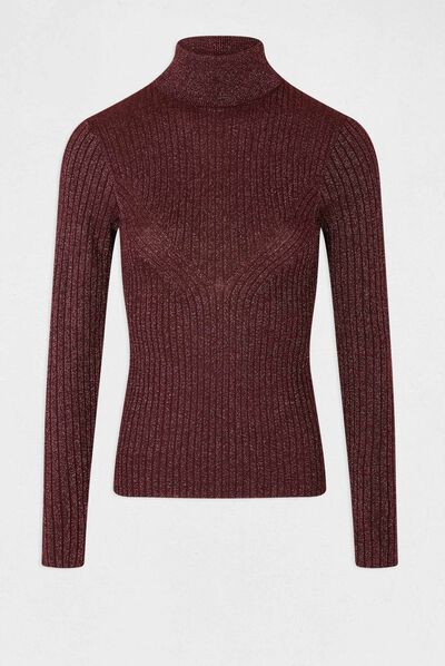 Pull manches longues col roulé prune femme