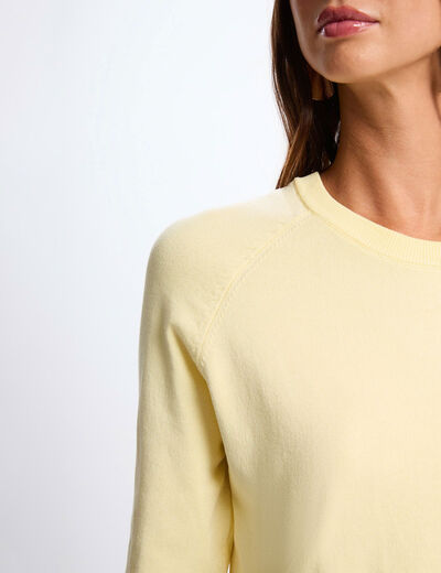Pull fin ajust&eacute; jaune clair femme
