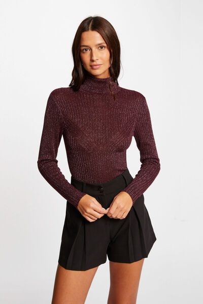 Pull manches longues col roulé prune femme