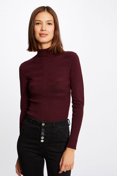 Pull manches longues col roulé prune femme