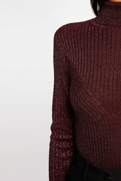 Pull manches longues col roulé prune femme